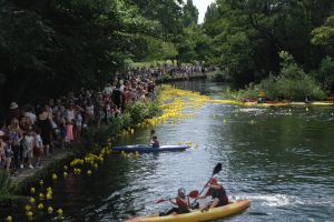 Duck Race